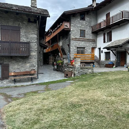 Alpino
